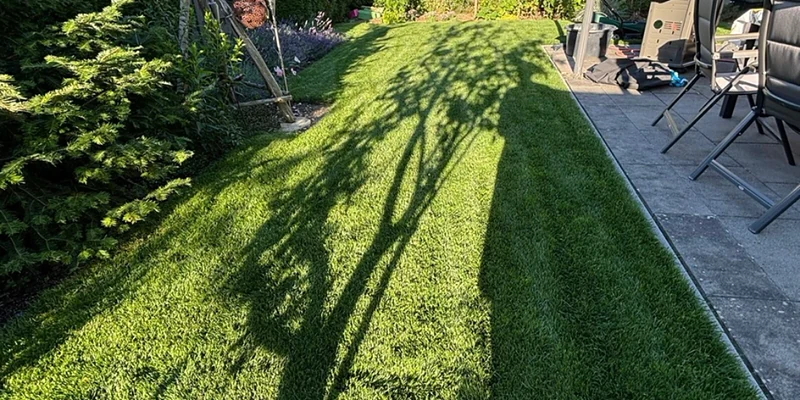 Derselbe Garten einige Wochen später mit dichtem, angewachsenem Rasen